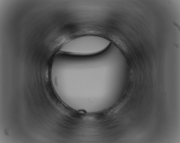 X0000095690358200801081044