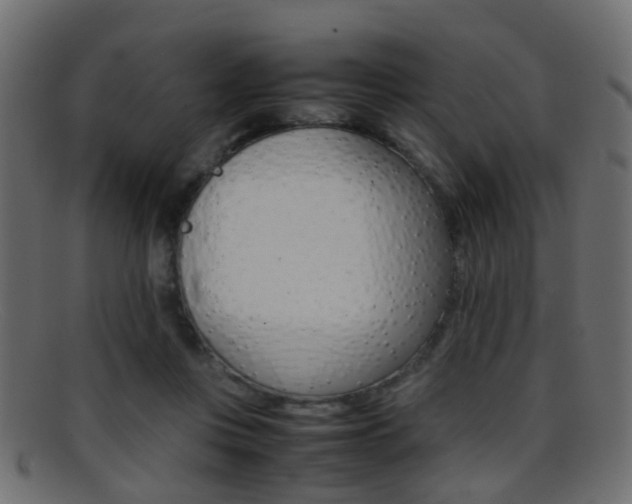 X0000095690359200801081044