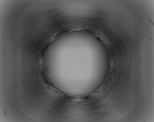 X0000095690360200801081044