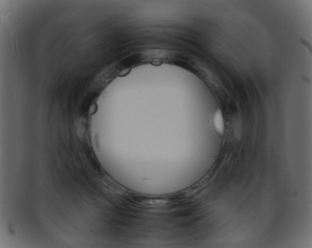 X0000095690361200801081044