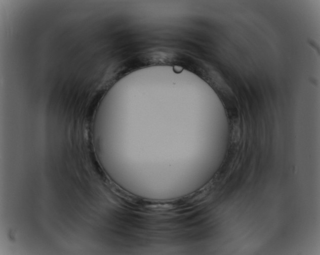 X0000095690363200801081044