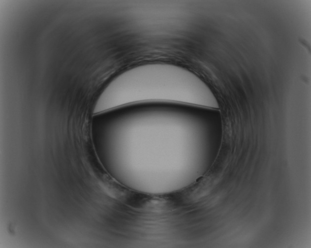 X0000095690364200801081044