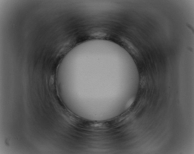 X0000095690365200801081044