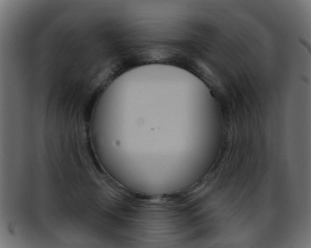 X0000095690366200801081044