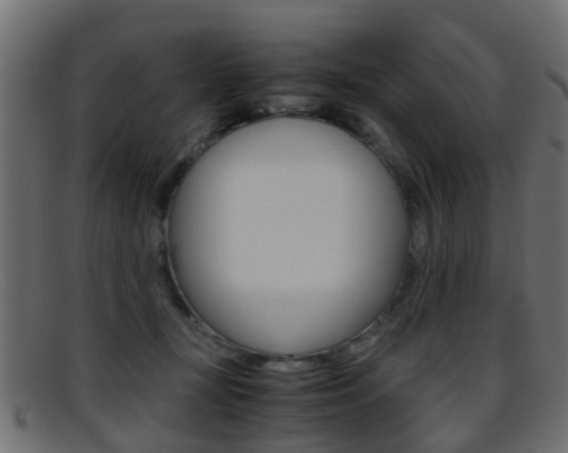 X0000095690367200801081044