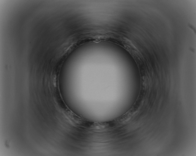 X0000095690368200801081044