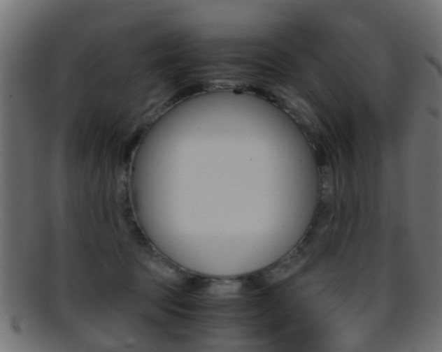 X0000095690369200801081044