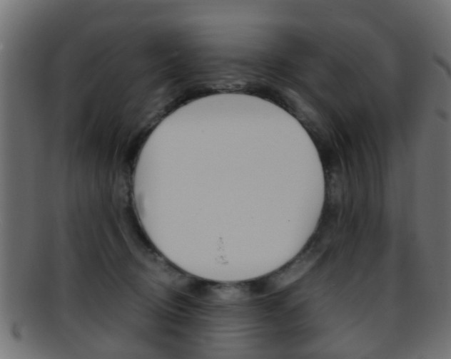 X0000095690370200801081044