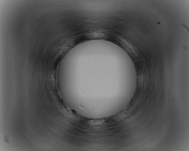 X0000095690373200801081044