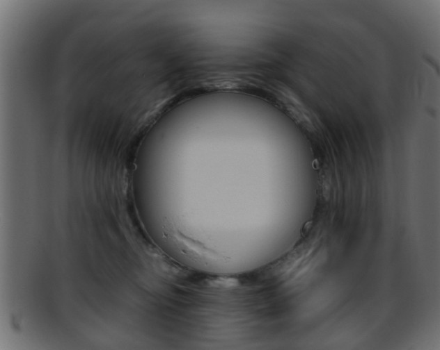 X0000095690374200801081044