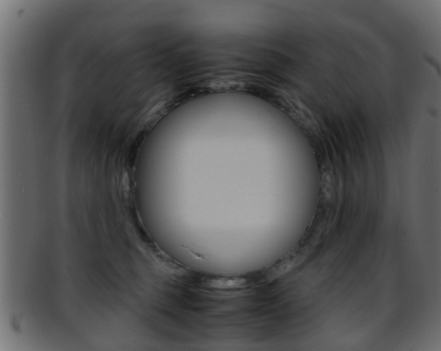 X0000095690375200801081044