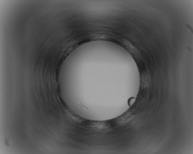X0000095690377200801081044