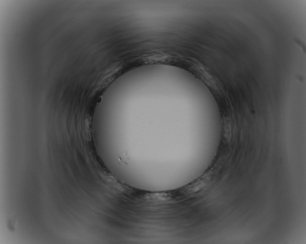 X0000095690378200801081044