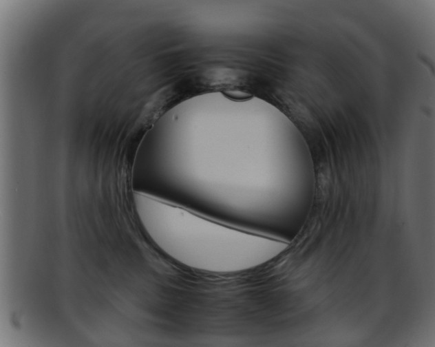 X0000095690379200801081044