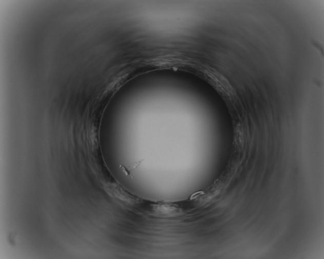 X0000095690380200801081044