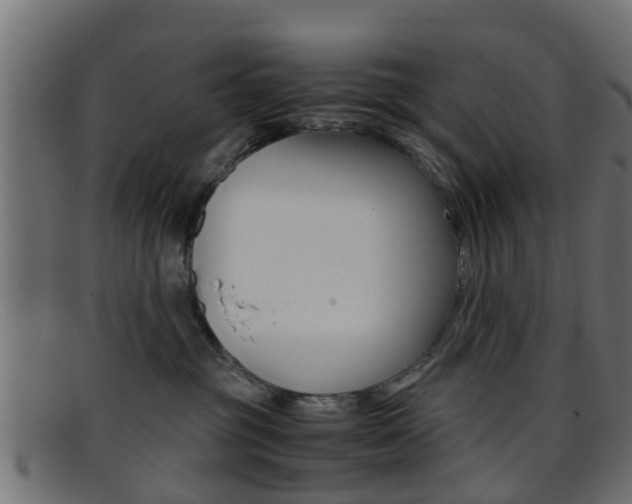 X0000095690381200801081044