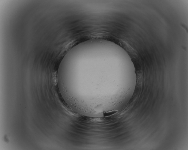 X0000095690383200801081044