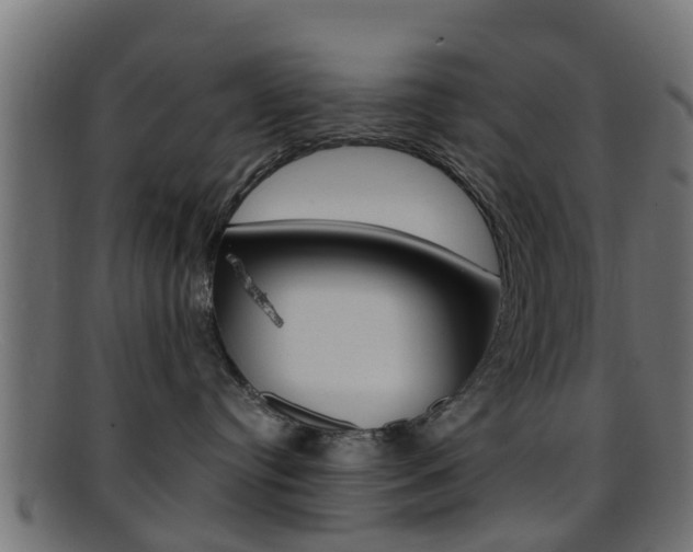 X0000095690384200801081044