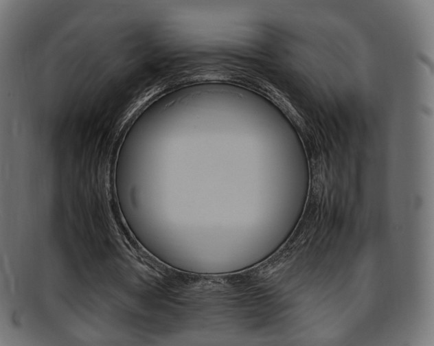 X0000095690386200801081043