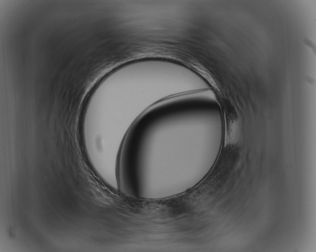 X0000095690387200801081043