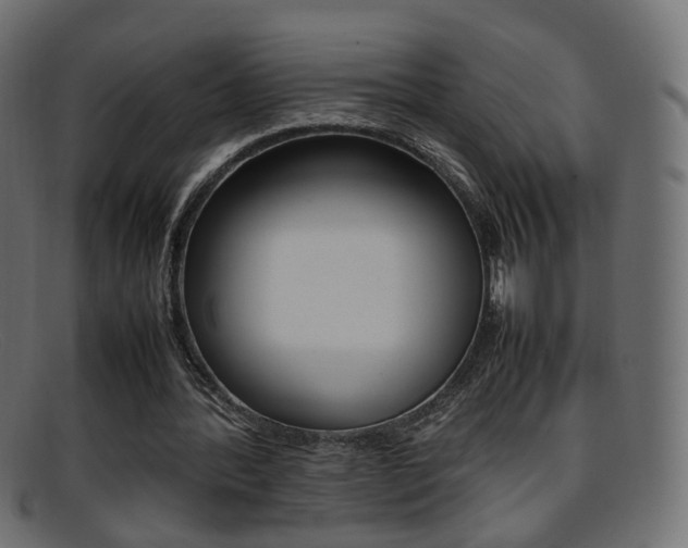 X0000095690388200801081043