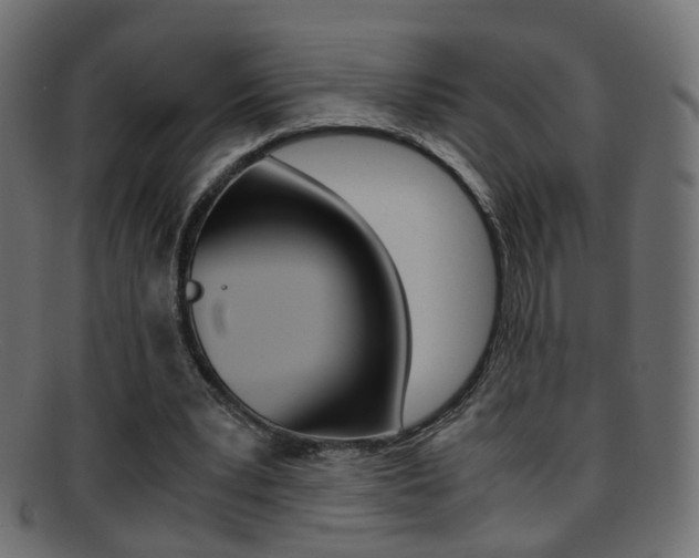 X0000095690391200801081043