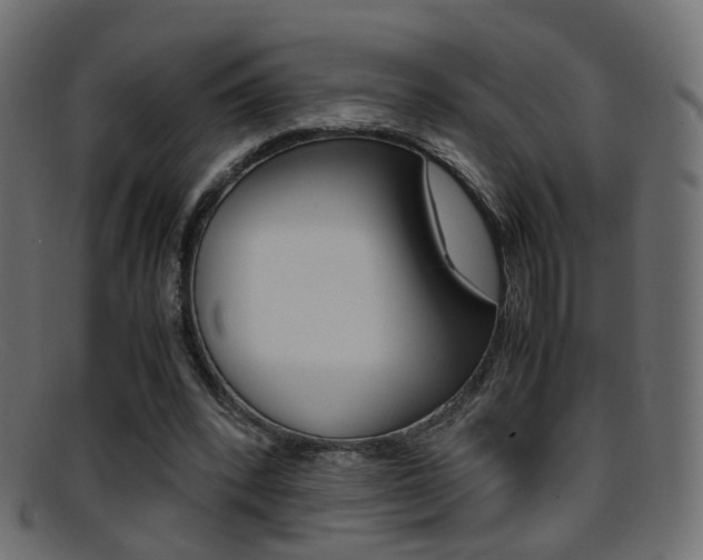 X0000095690392200801081043