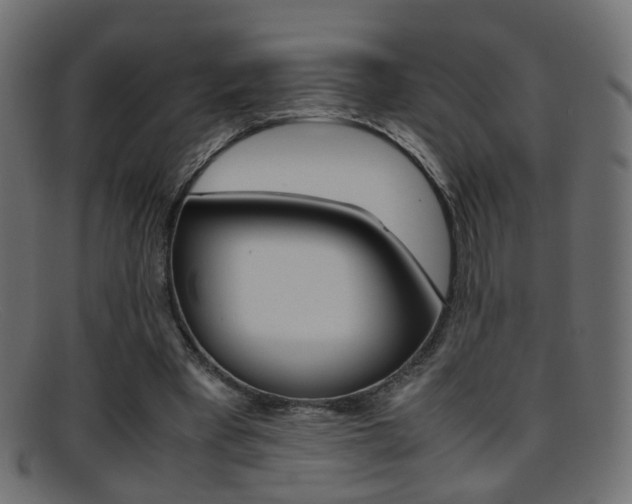 X0000095690393200801081043