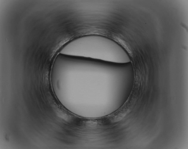 X0000095690394200801081043