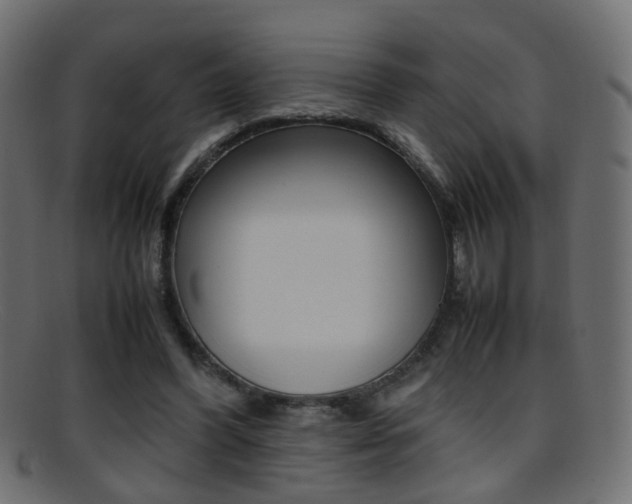 X0000095690396200801081043