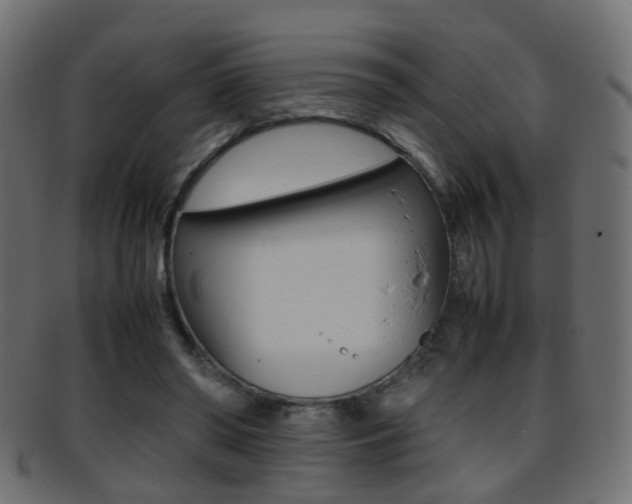 X0000095690398200801081043