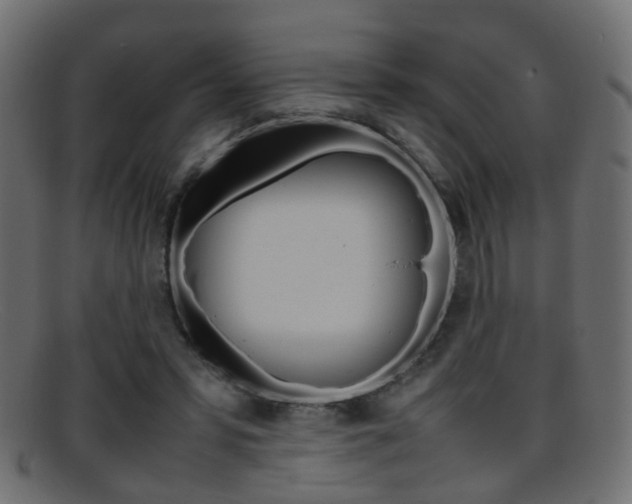 X0000095690399200801081043