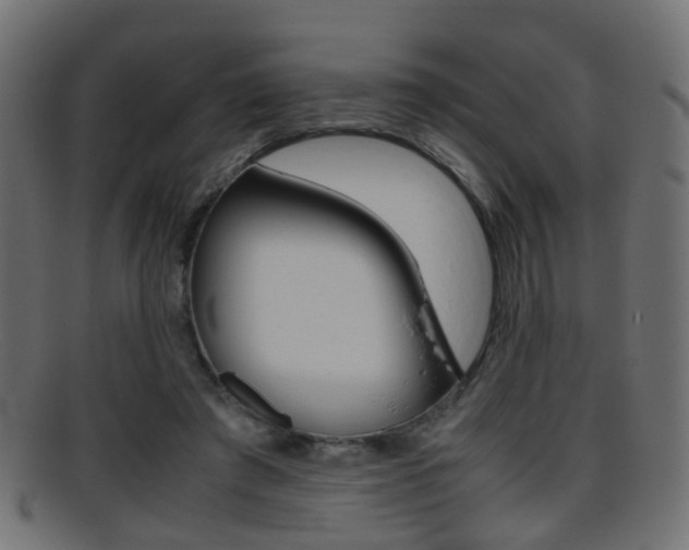 X0000095690401200801081043
