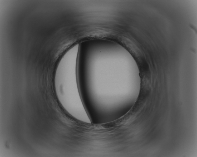 X0000095690403200801081043