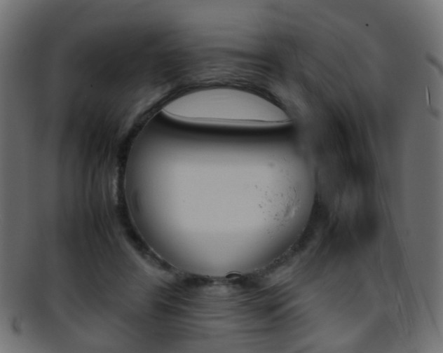 X0000095690404200801081043