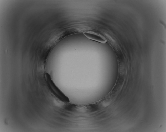 X0000095690405200801081043