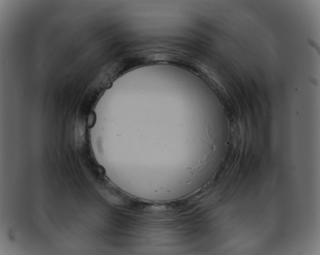 X0000095690406200801081043