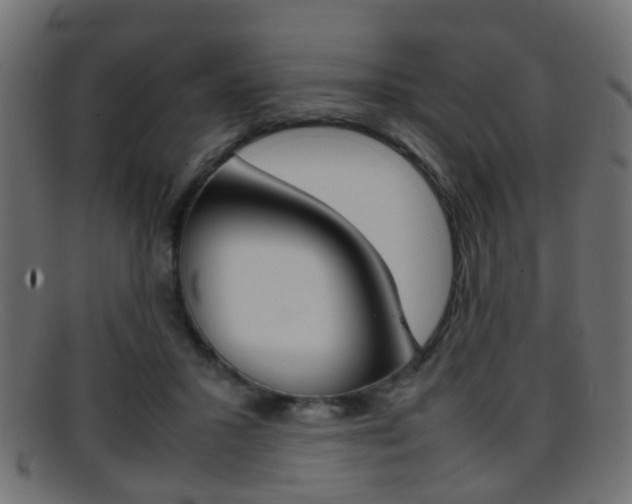 X0000095690407200801081043
