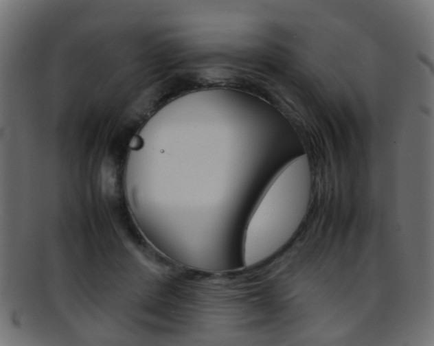 X0000095690408200801081043