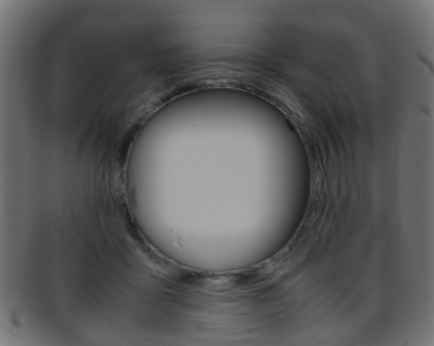 X0000095690411200801081043