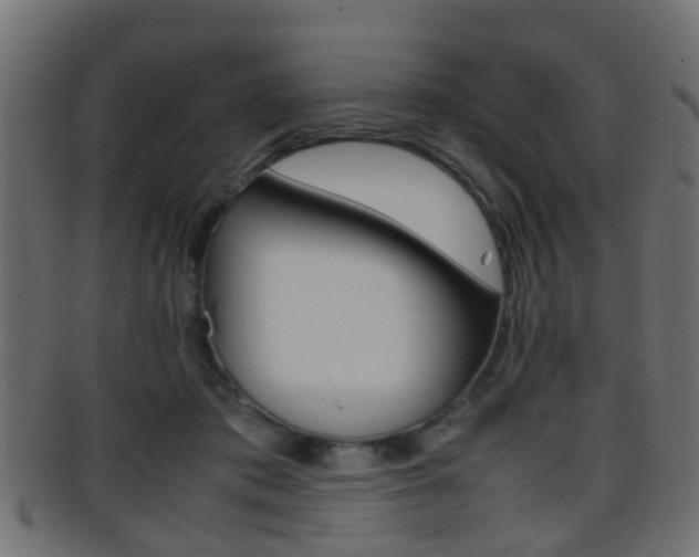 X0000095690413200801081043