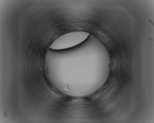 X0000095690414200801081043