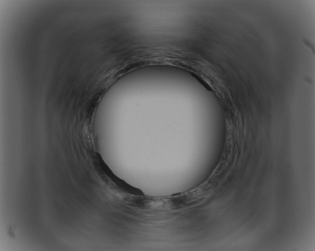 X0000095690415200801081043