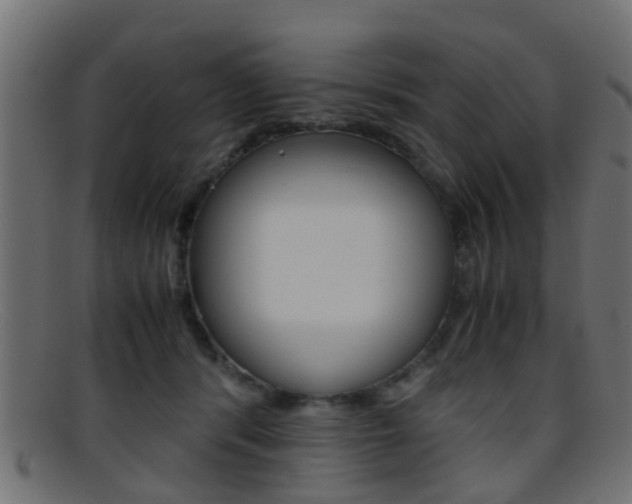 X0000095690416200801081043