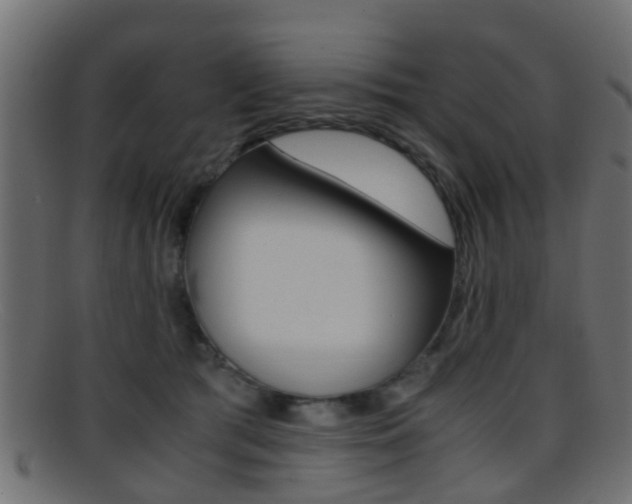 X0000095690417200801081043