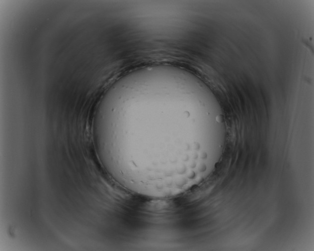 X0000095690418200801081043