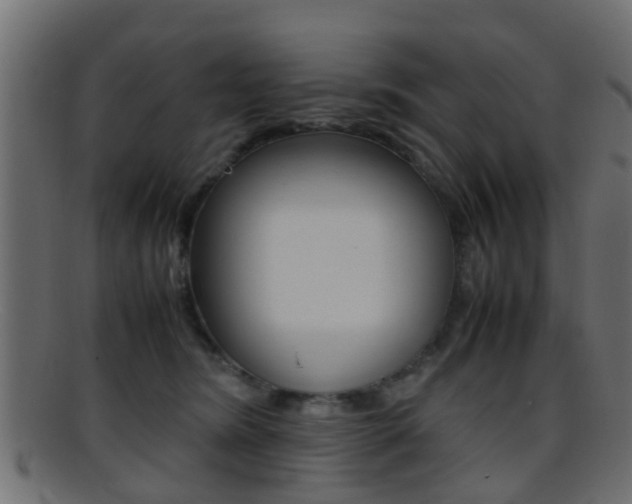 X0000095690420200801081043