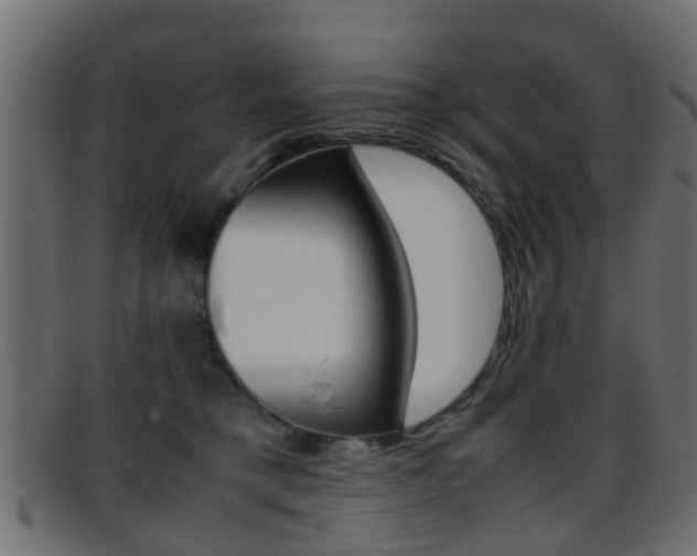 X0000095690421200801081043