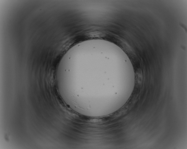 X0000095690422200801081043