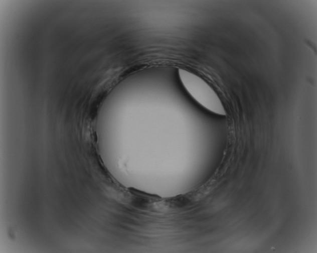 X0000095690423200801081043